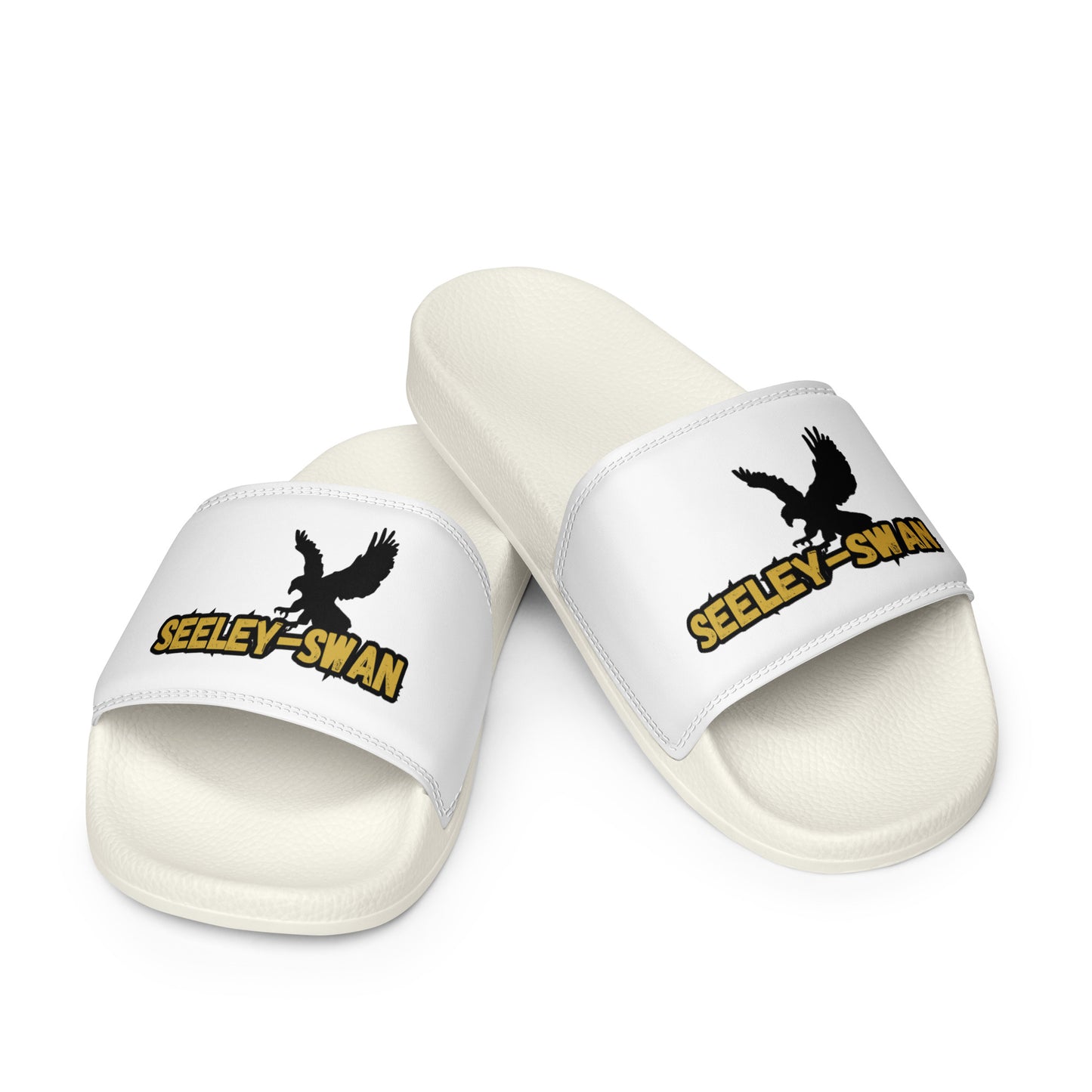 Seeley-Swan Blackhawks Slides