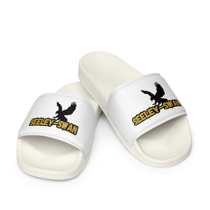 Seeley-Swan Blackhawks Slides