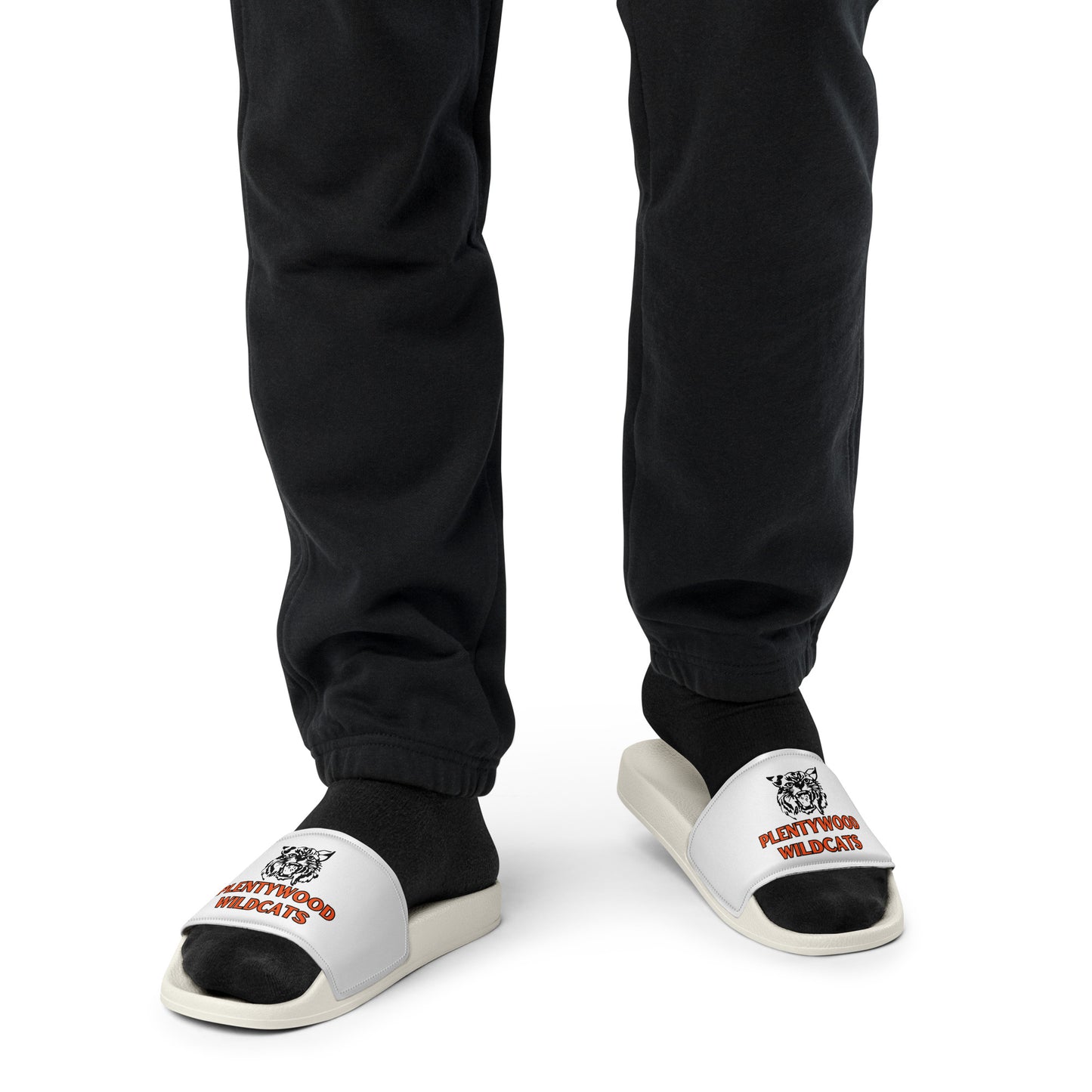 Plentywood Wildcats Slides