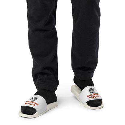 Plentywood Wildcats Slides
